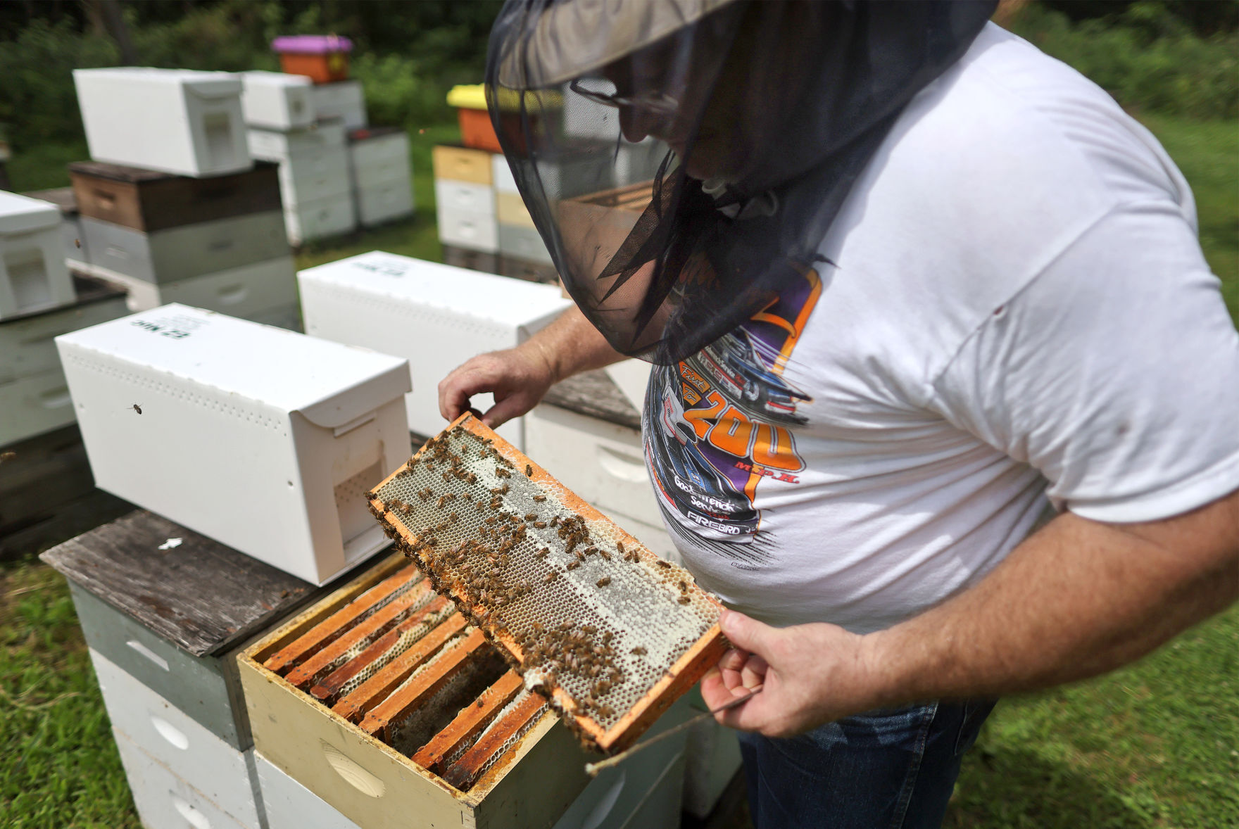 JVG_210701_BEES06